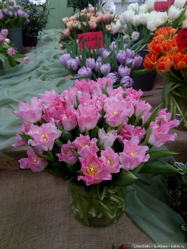 Весна в Ботаническом саду