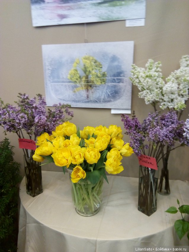 Весна в Ботаническом саду