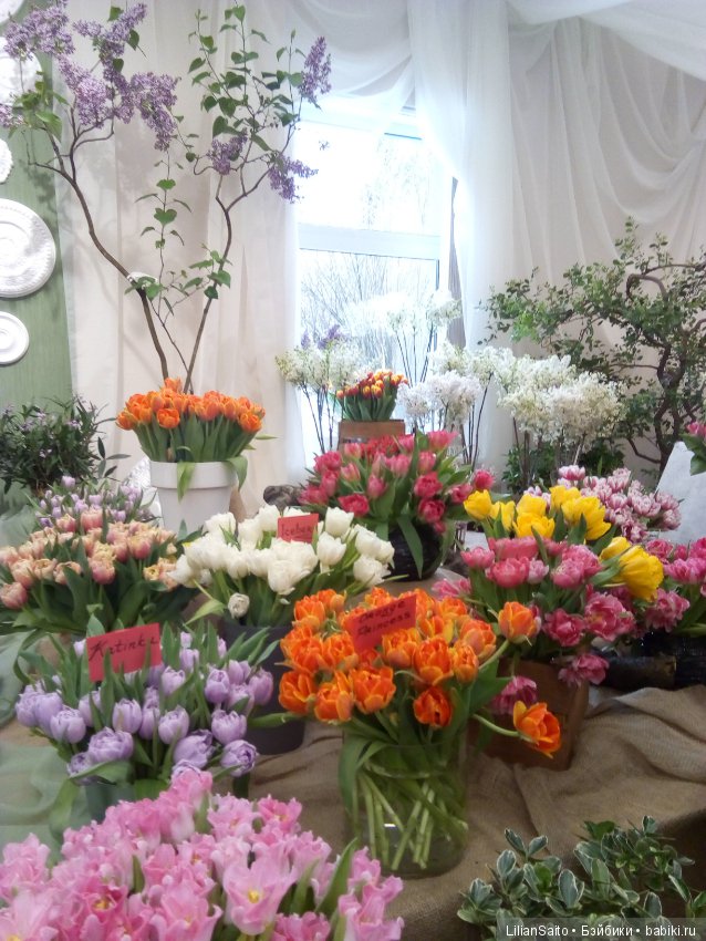 Весна в Ботаническом саду