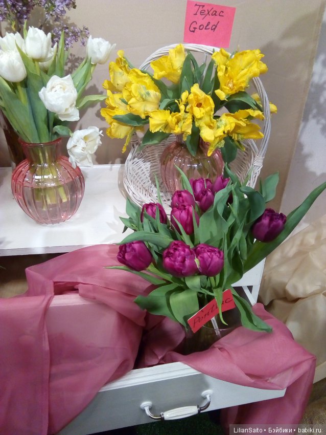 Весна в Ботаническом саду (фото 5)