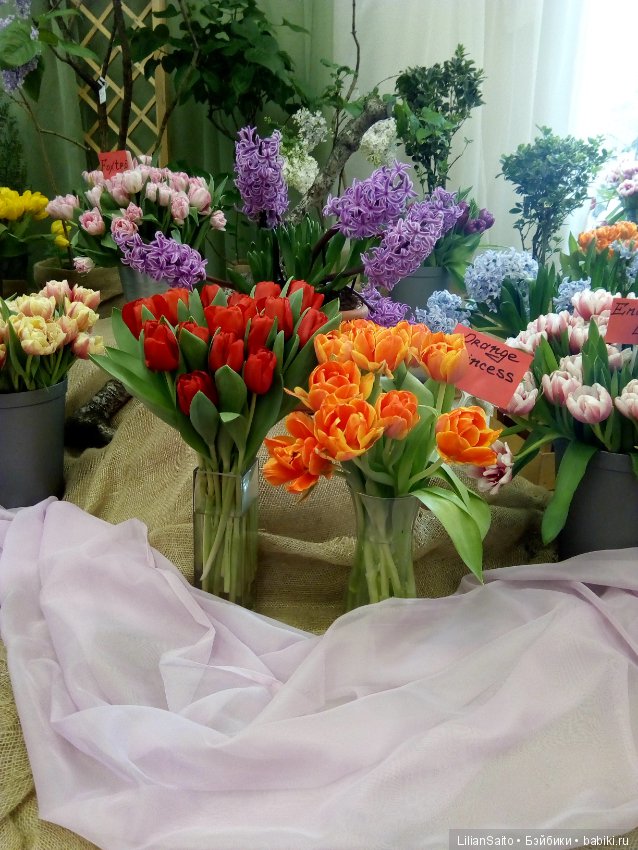 Весна в Ботаническом саду