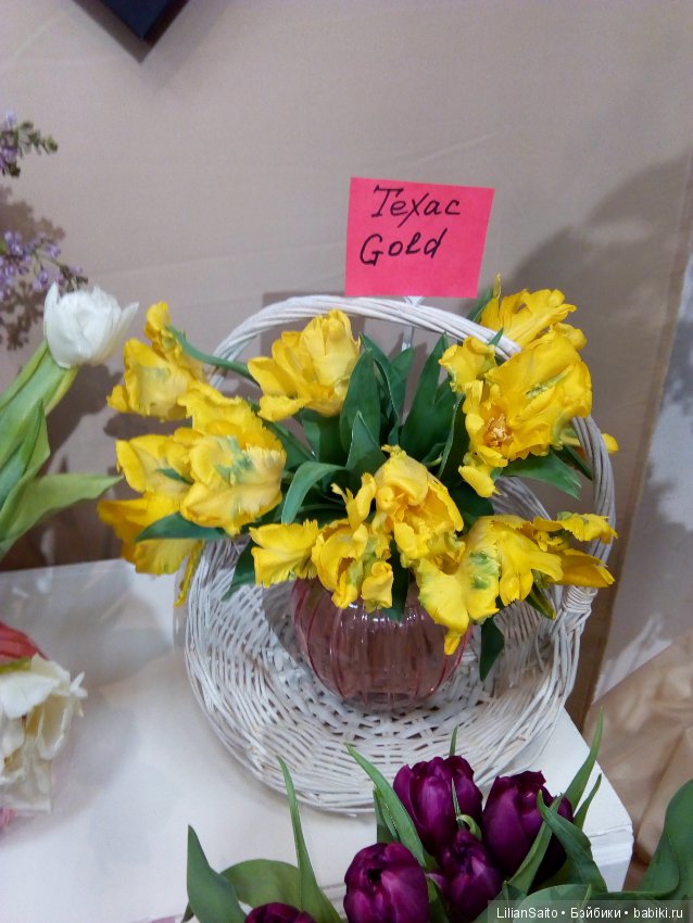 Весна в Ботаническом саду (фото 6)