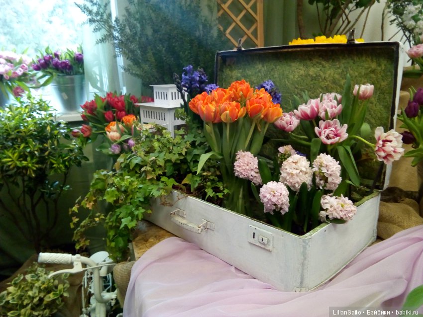 Весна в Ботаническом саду