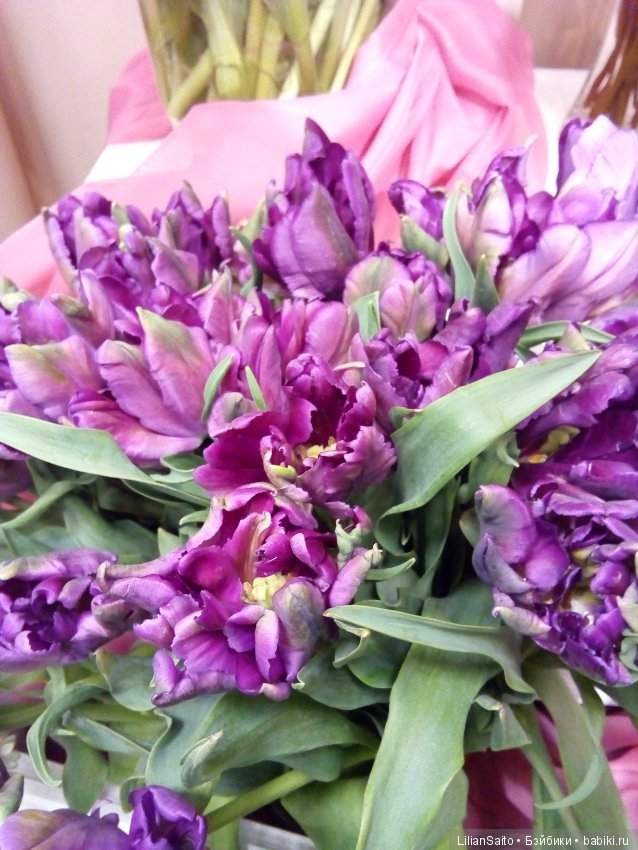 Весна в Ботаническом саду (фото 3)