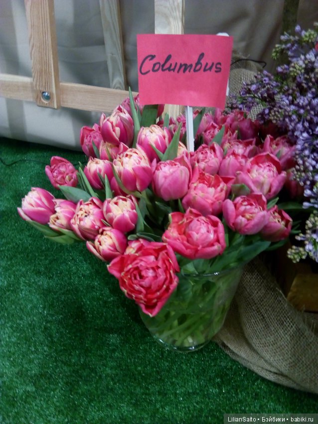 Весна в Ботаническом саду (фото 2)