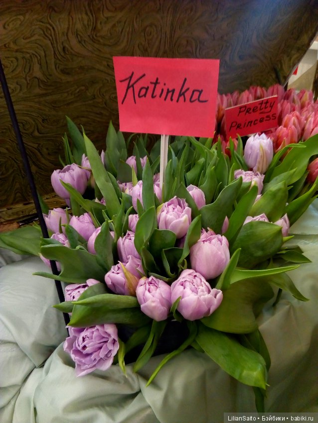 Весна в Ботаническом саду (фото 9)