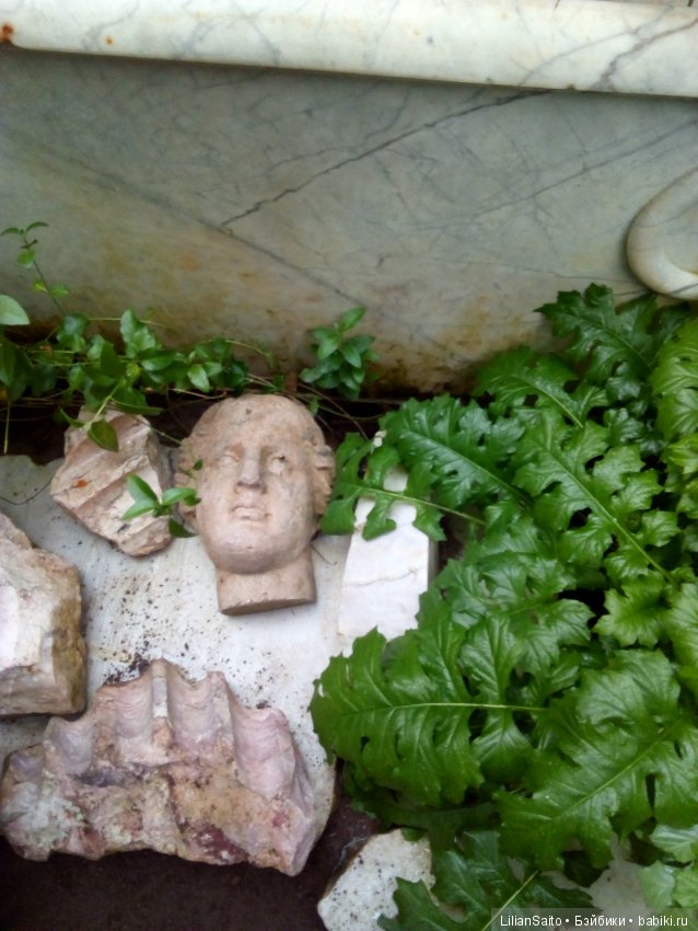 Весна в Ботаническом саду