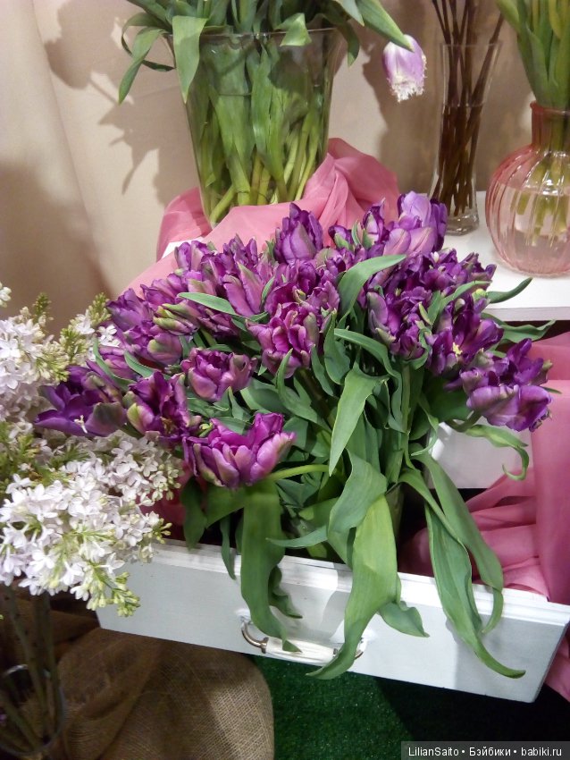 Весна в Ботаническом саду (фото 4)