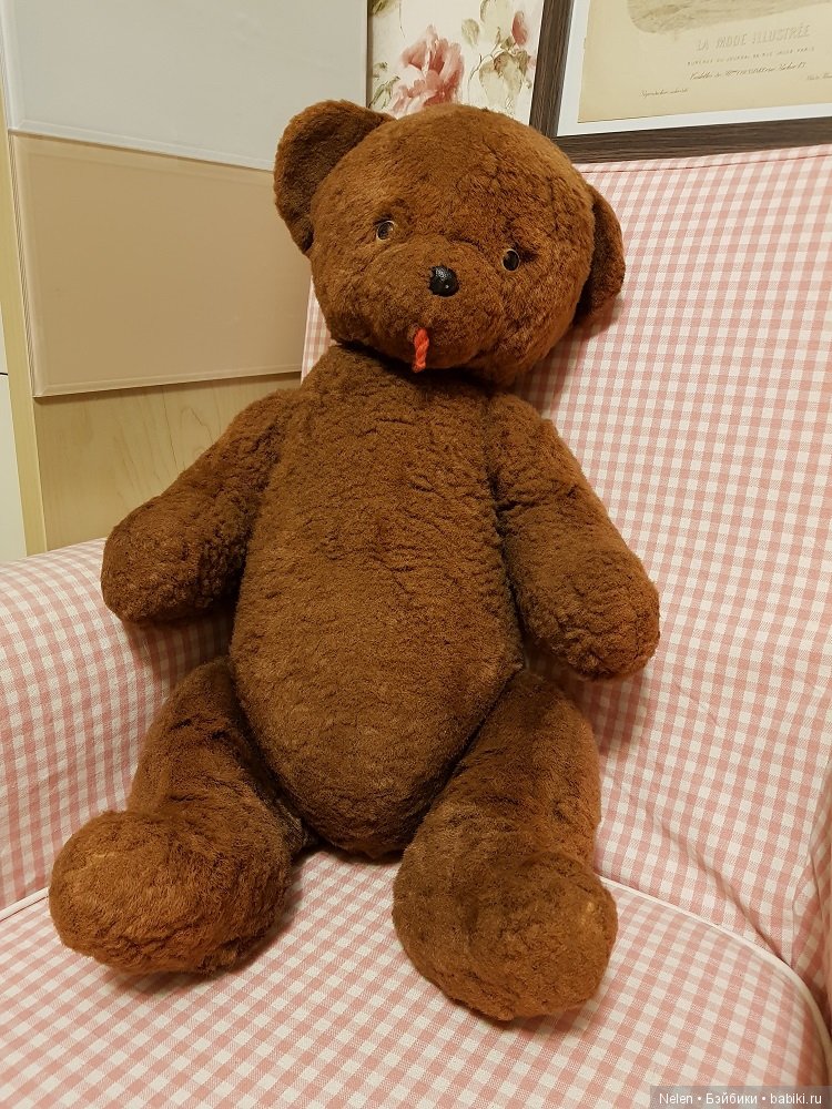 Что за Мишка — Болталка и разговоры обо всем: жизнь