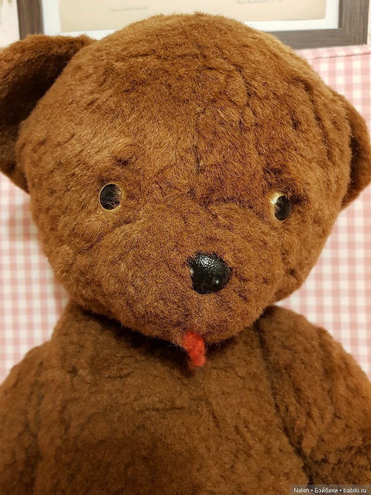 Что за Мишка — Болталка и разговоры обо всем: жизнь (фото 3)