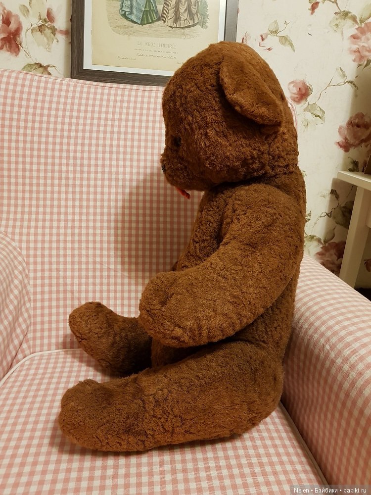 Что за Мишка — Болталка и разговоры обо всем: жизнь (фото 2)