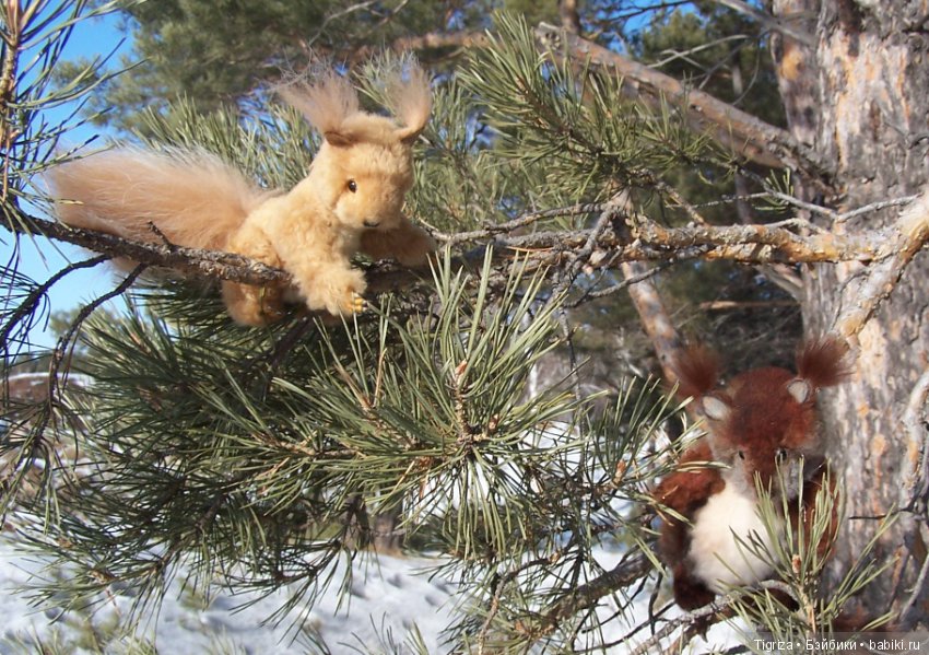 Как Пик и Цок поссорились,но потом помирились (фото 7)