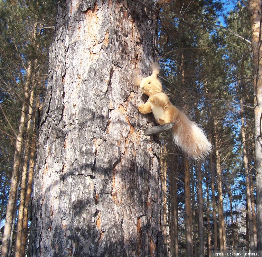 Как Пик и Цок поссорились,но потом помирились (фото 5)