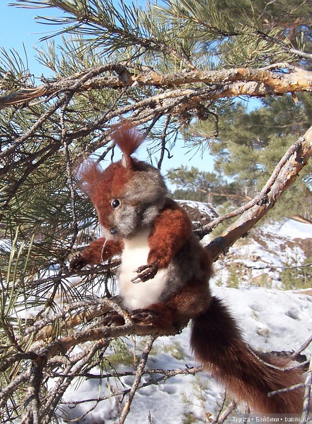 Как Пик и Цок поссорились,но потом помирились