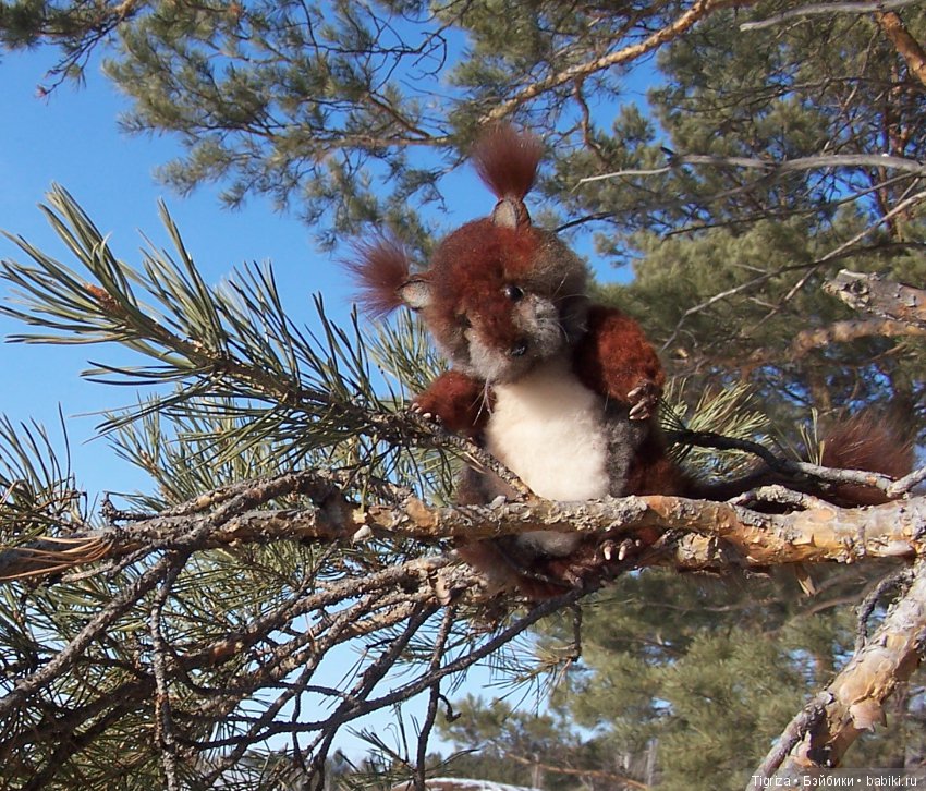 Как Пик и Цок поссорились,но потом помирились (фото 8)