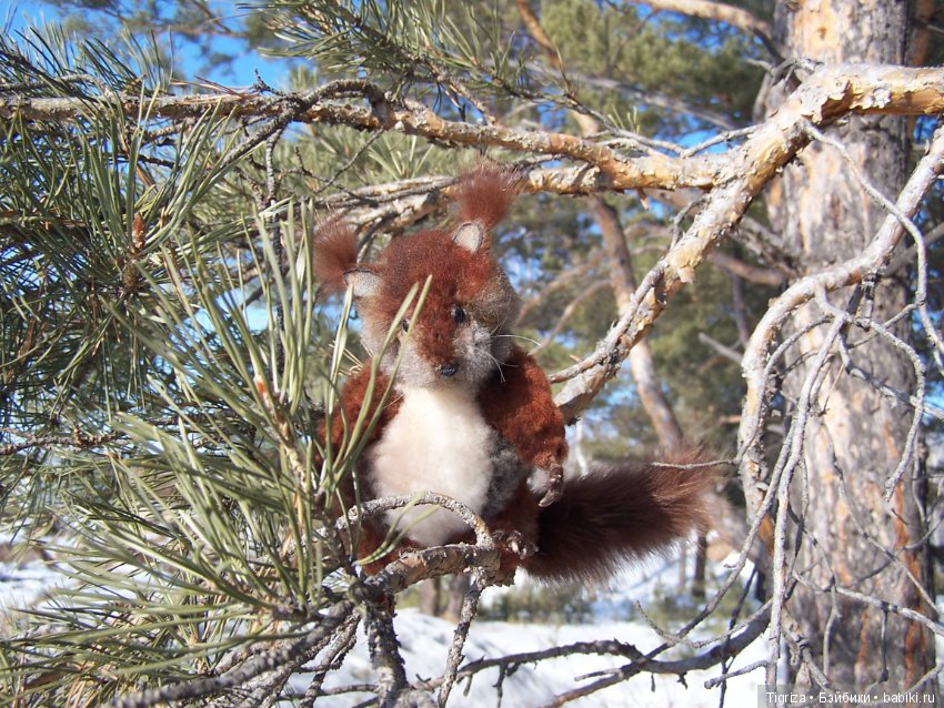 Как Пик и Цок поссорились,но потом помирились (фото 10)