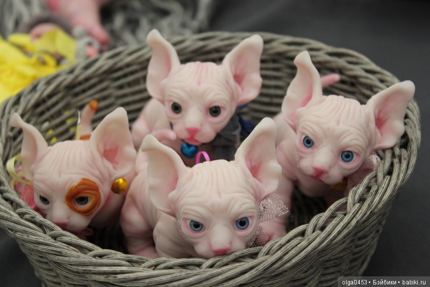 Весенний бал КУКОЛ. 07.03.19. Забавные милахи (фото 7)