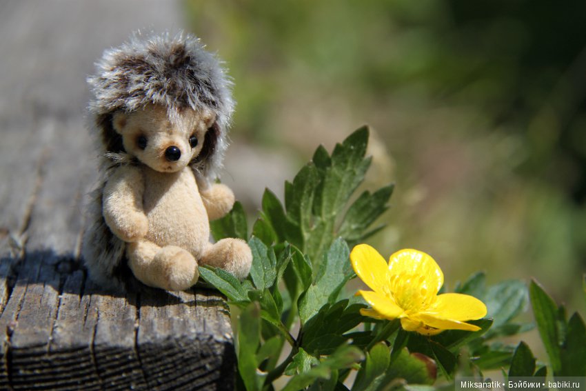 Поздравления с весной от зверят