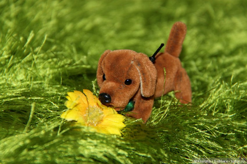 Поздравления с весной от зверят