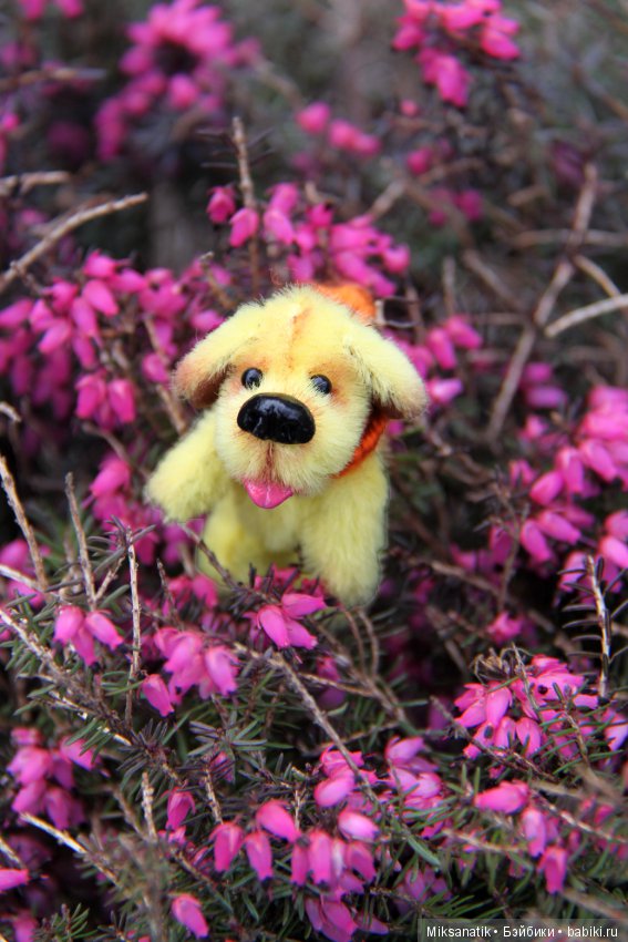 Поздравления с весной от зверят (фото 8)