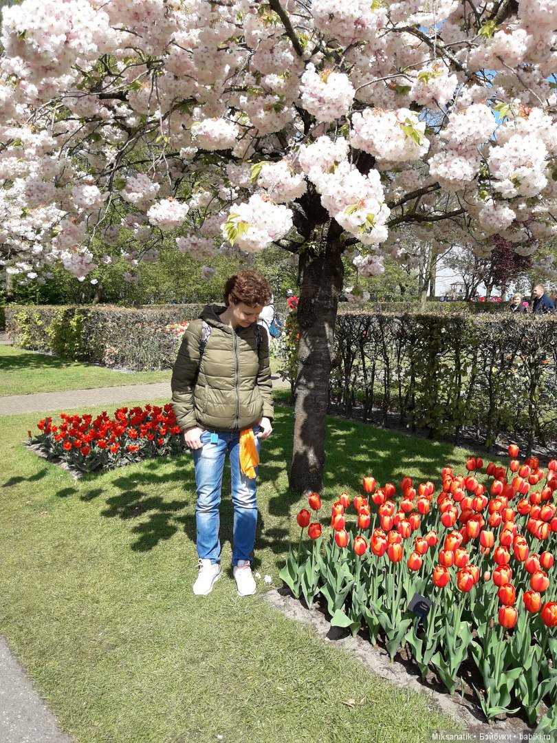 Поздравления с весной от зверят