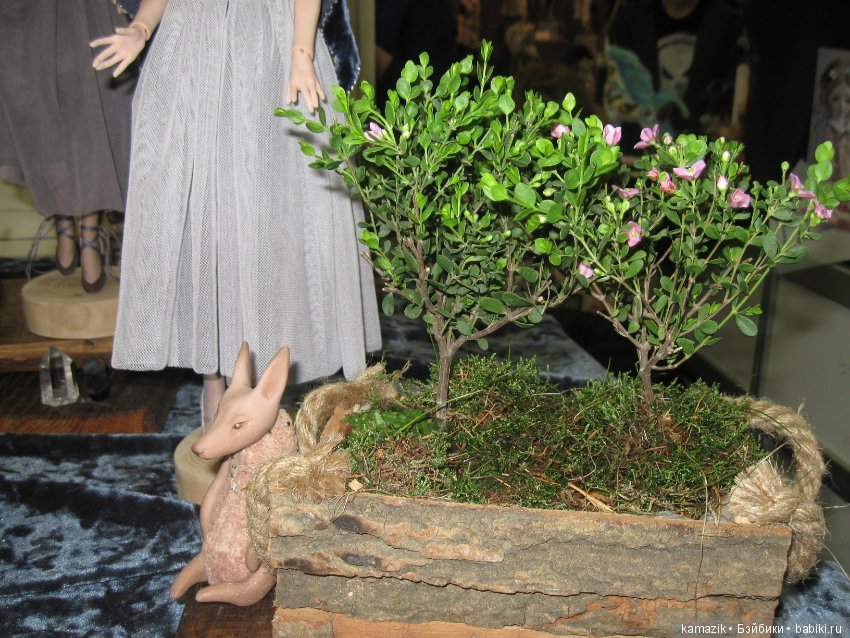 Тишинка 2 — Выставки кукол и мишек Тедди: фоторепортажи (фото 6)