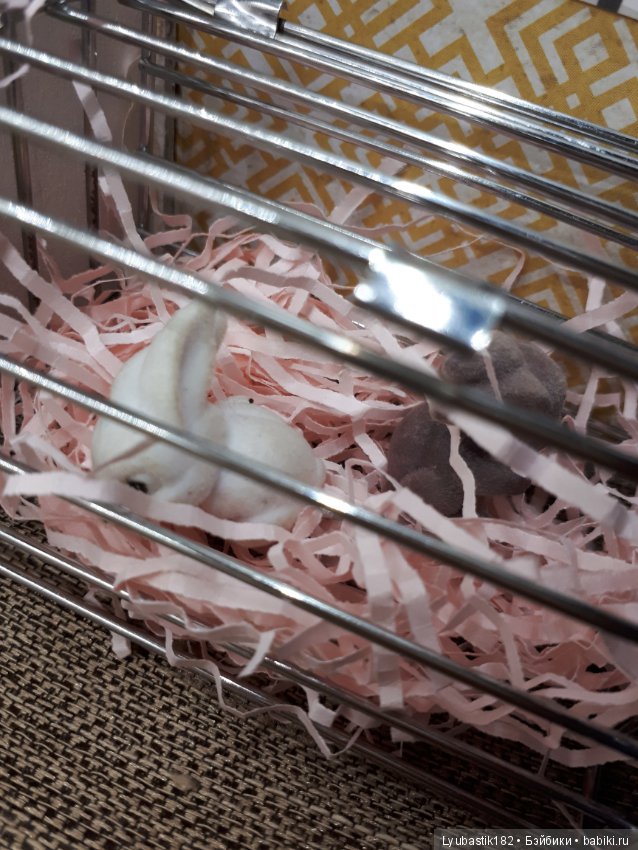 Комната для Музы — Румбоксы и кукольные интерьеры: фото