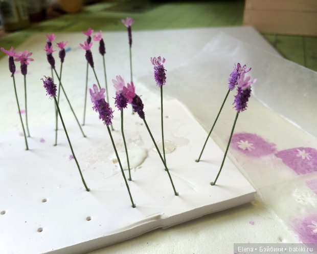 Мастер класс по созданию лаванды для мини клумб (фото 6)