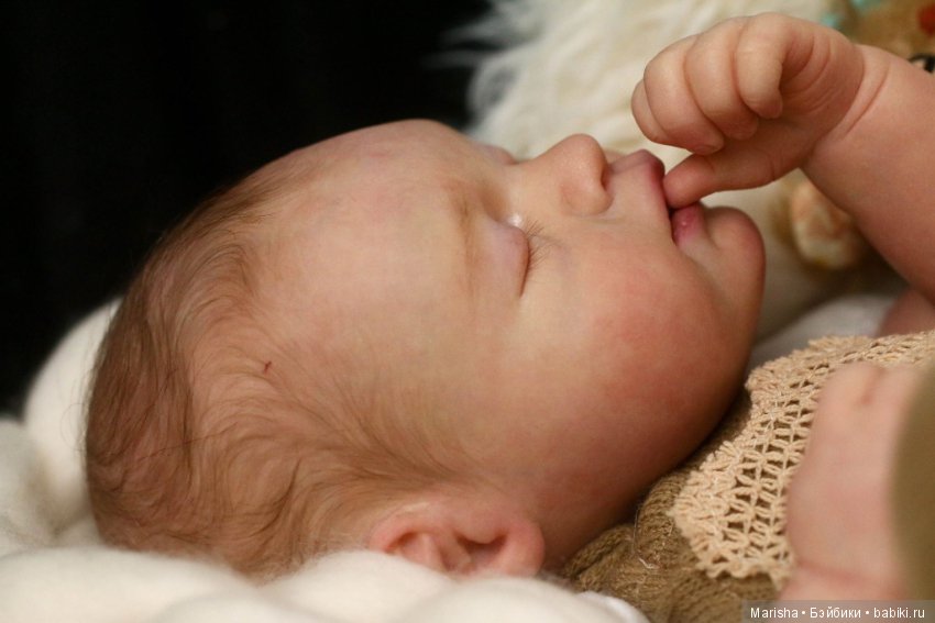 Carla и Vega by Theresa de Castro, автор прототипов Shaylen Maxwell