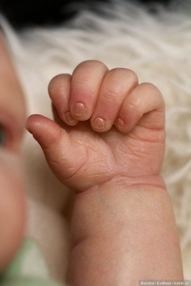 Carla и Vega by Theresa de Castro, автор прототипов Shaylen Maxwell (фото 8)