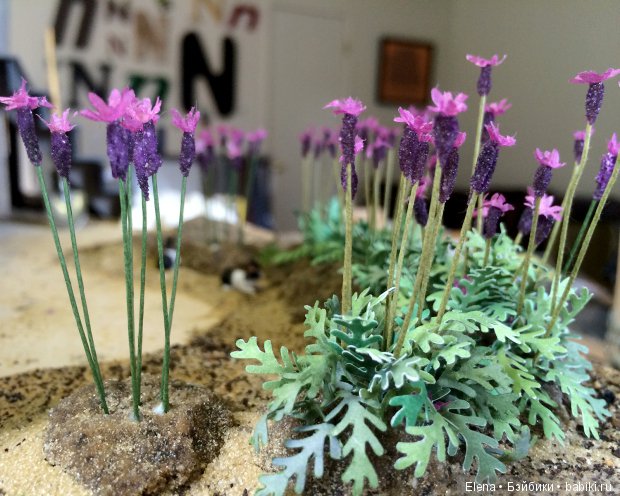 Мастер класс по созданию лаванды для мини клумб (фото 2)