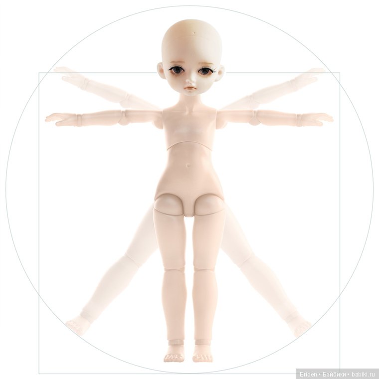 Шарнирная китайская куколка. Обзор