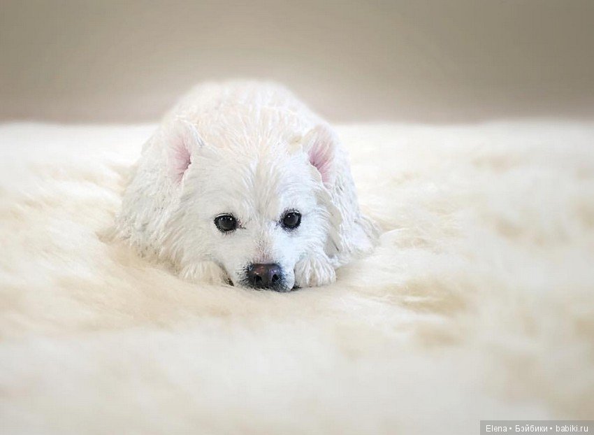 Портретные фигурки собак и кошек Helen Violet