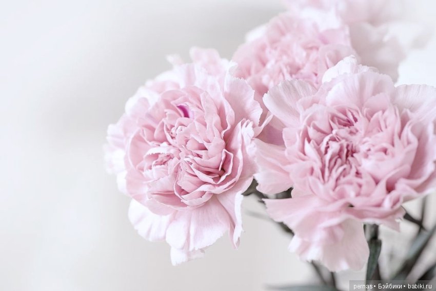 Авторская кукла Гвен — Лепка авторских кукол: полимерная глина (фото 10)