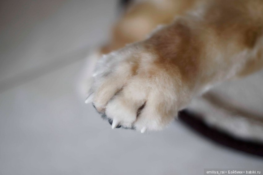 Собака в стиле нятюр Чау Чау Смуф (фото 8)