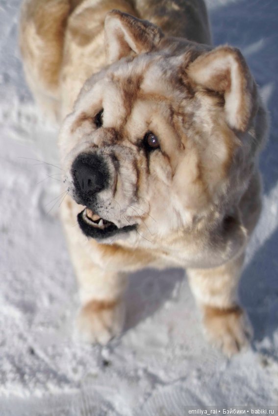 Собака в стиле нятюр Чау Чау Смуф