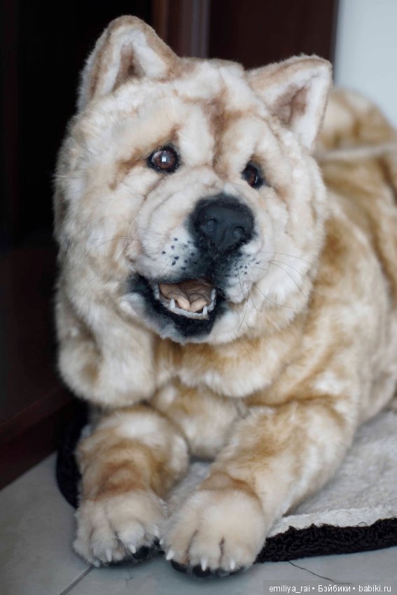 Собака в стиле нятюр Чау Чау Смуф