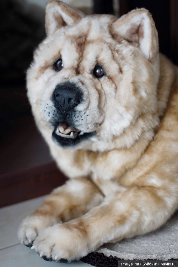 Собака в стиле нятюр Чау Чау Смуф (фото 10)