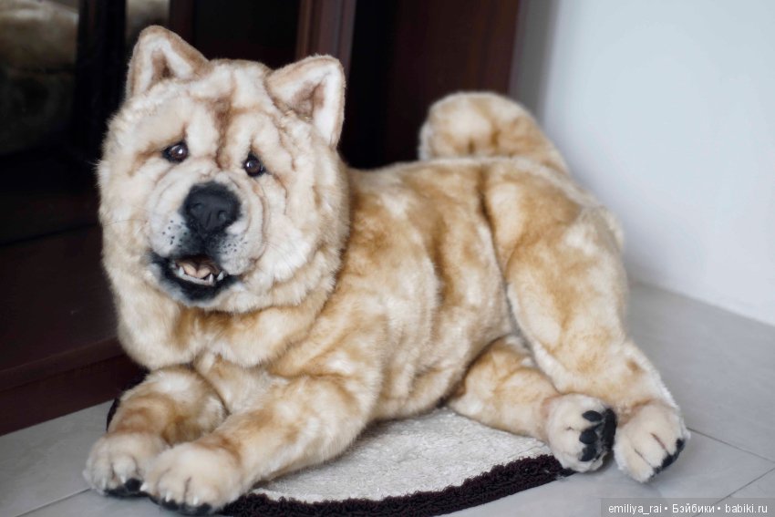 Собака в стиле нятюр Чау Чау Смуф (фото 9)