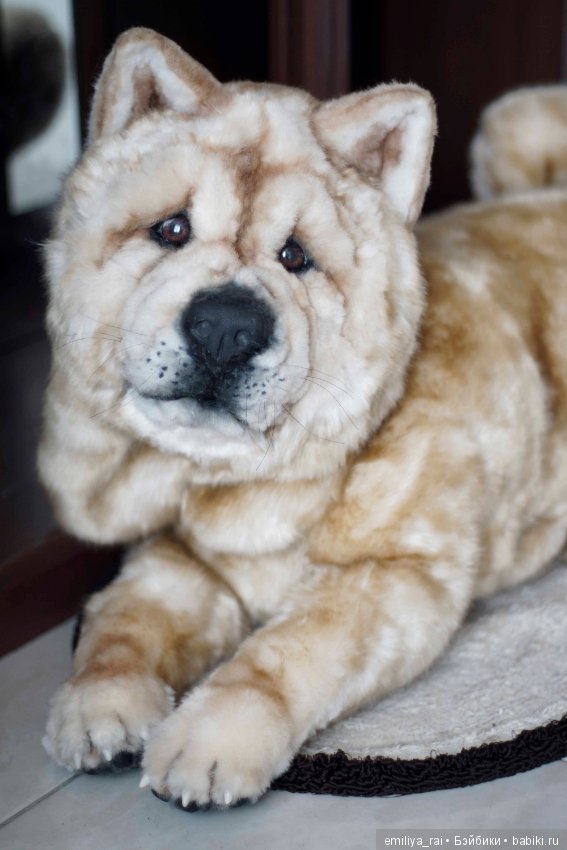 Собака в стиле нятюр Чау Чау Смуф