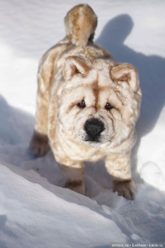 Собака в стиле нятюр Чау Чау Смуф