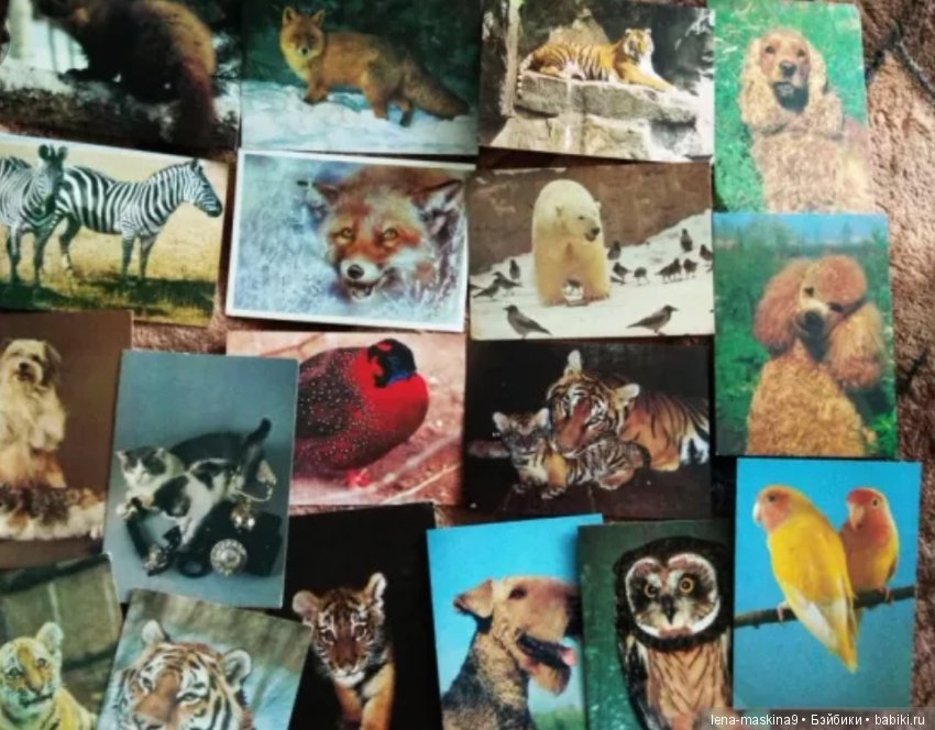 Календарики- Советского времени (фото 8)