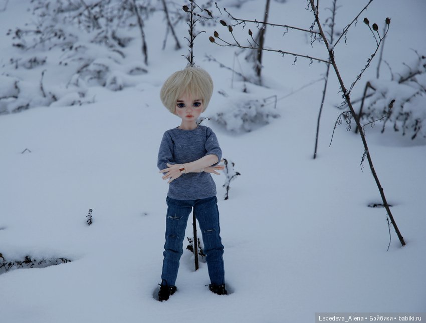 Габриэль — Куклы DIM (Doll in Mind): корейские BJD (БЖД) (фото 4)