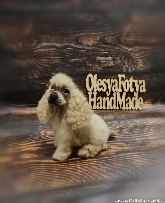 Американский кокер спаниель (фото 2)