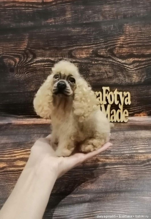 Американский кокер спаниель (фото 7)