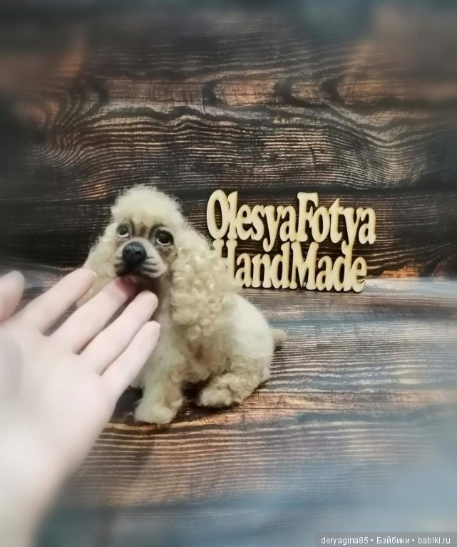 Американский кокер спаниель (фото 9)