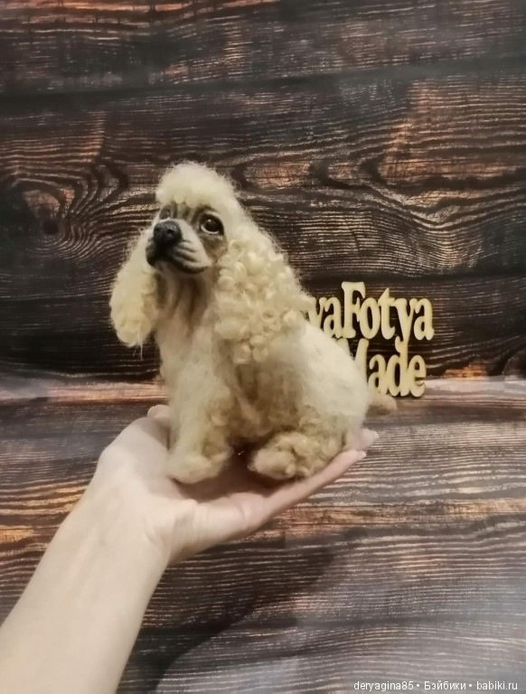 Американский кокер спаниель (фото 8)