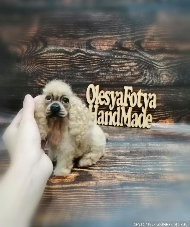 Американский кокер спаниель (фото 10)