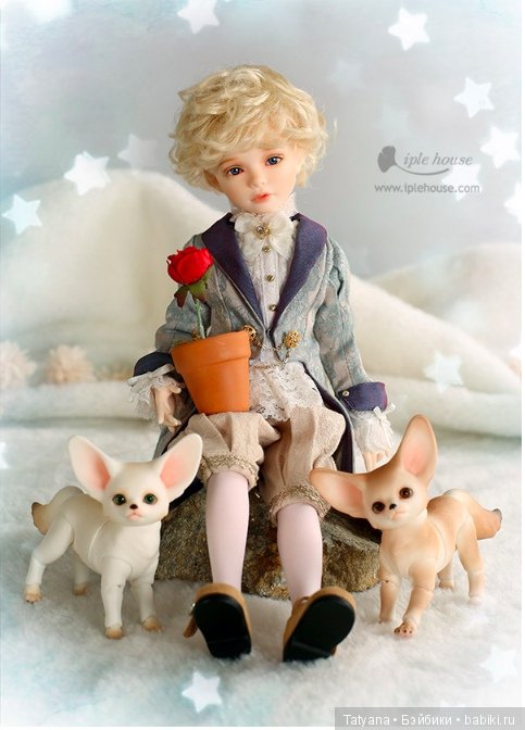 Iplehouse - Фэй — Куклы Iplehouse (Иплхаус): BJD (БЖД) (фото 2)