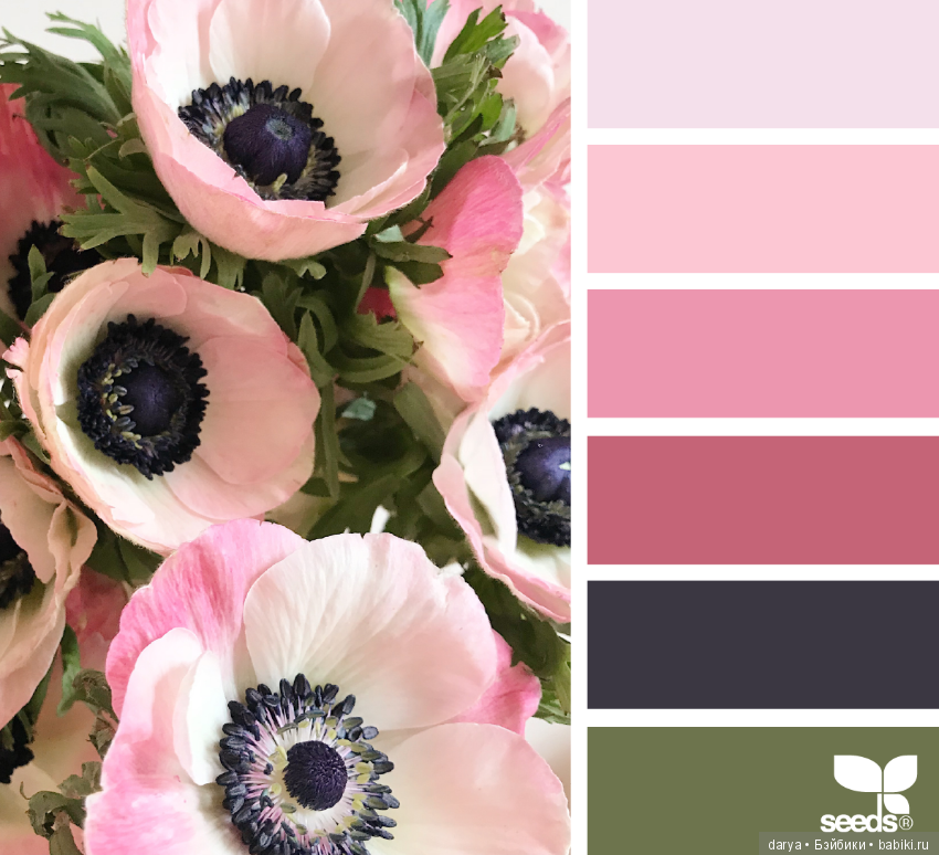Природа, цветы. Сочетание цветов (фото 7)